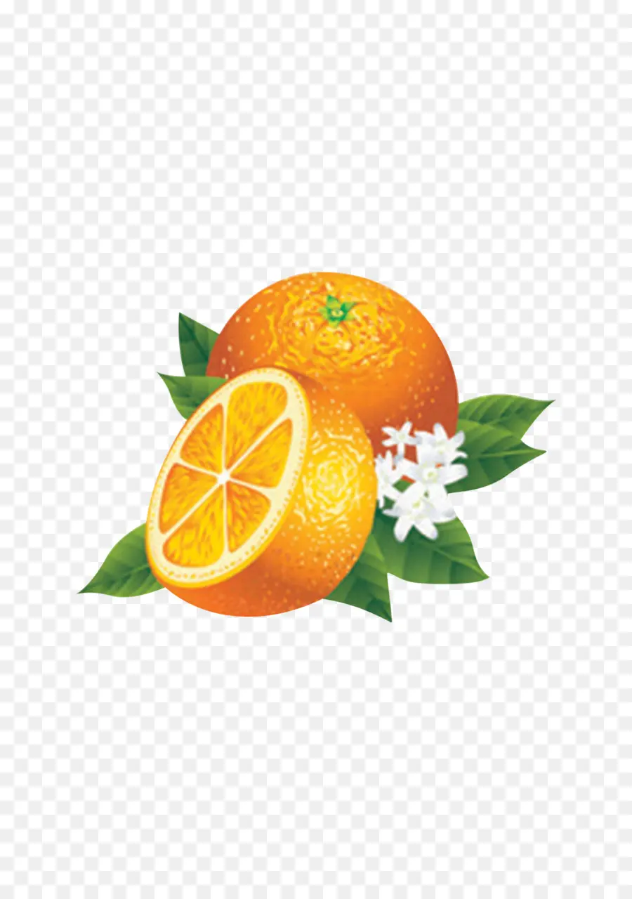 Oranges，Agrumes PNG