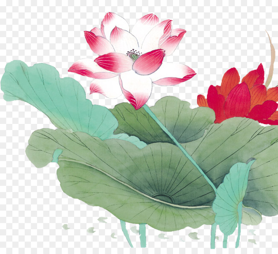 Fleurs De Lotus，Floraison PNG