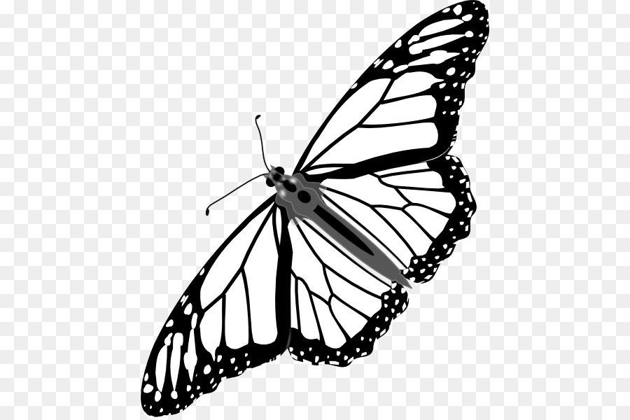 Papillon Noir Et Blanc，Ailes PNG