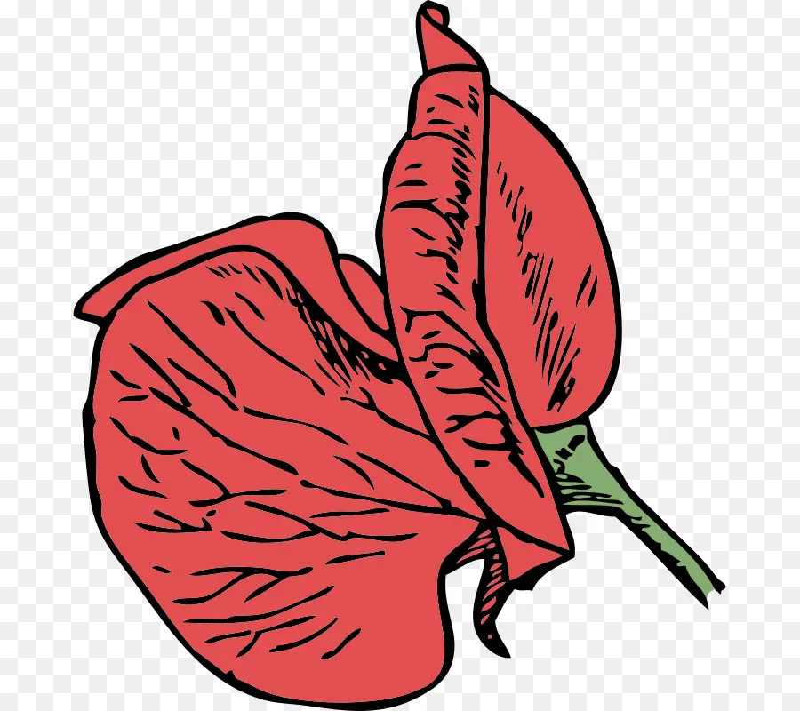 Fleur Rouge，Fleur PNG