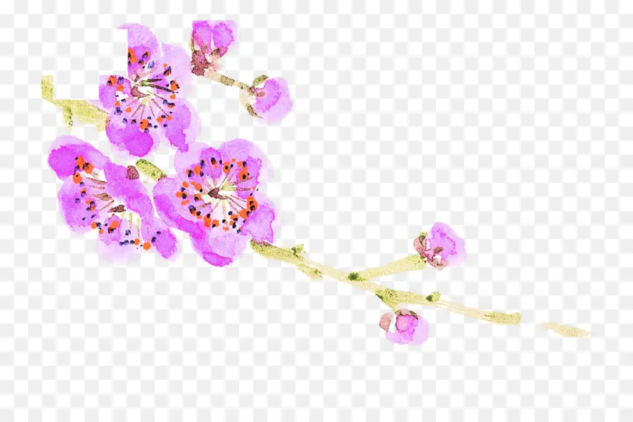 Branche De Fleurs De Cerisier，Fleurs PNG