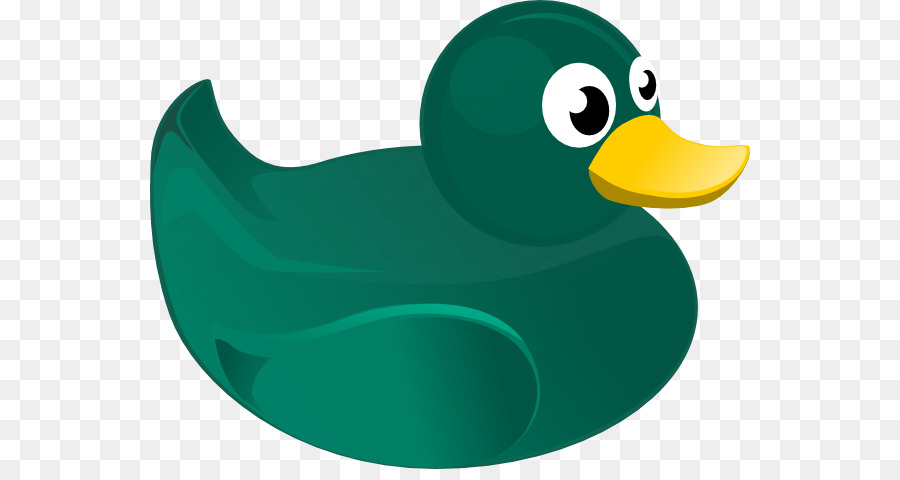 Colvert，Canard PNG