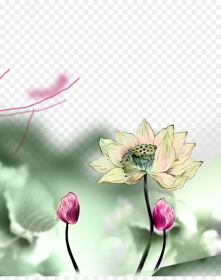 Fleurs De Lotus，Floraison PNG