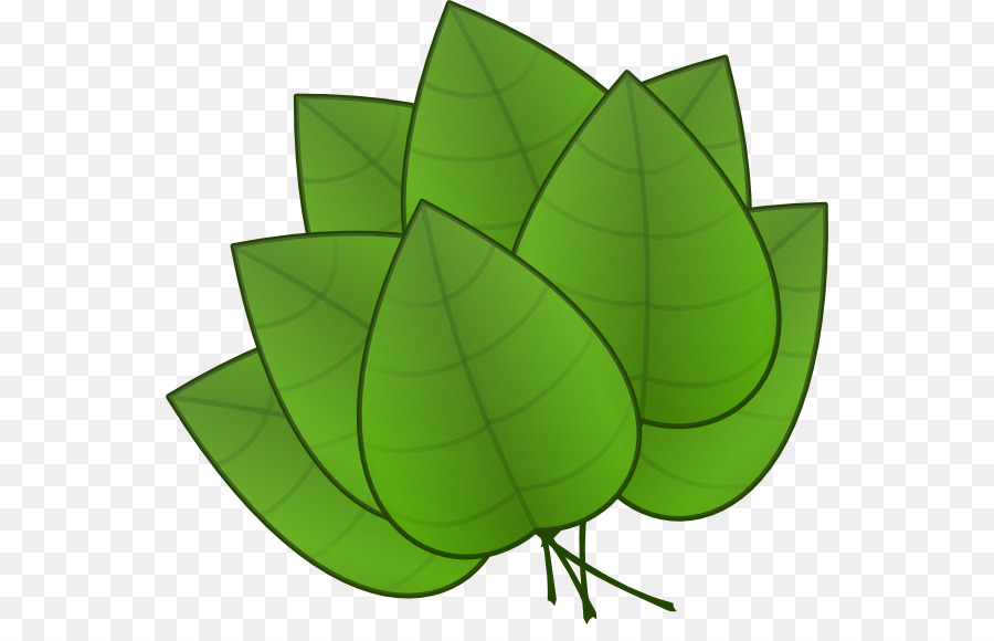 Feuilles Vertes，Feuillage PNG