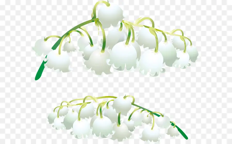 Muguet，Usine PNG