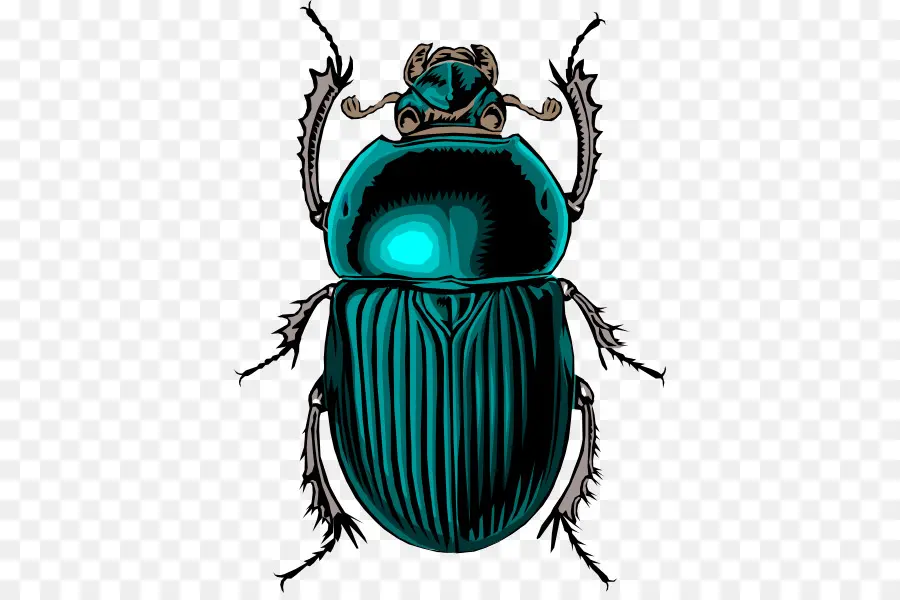 Coléoptère Bleu，Bogue PNG