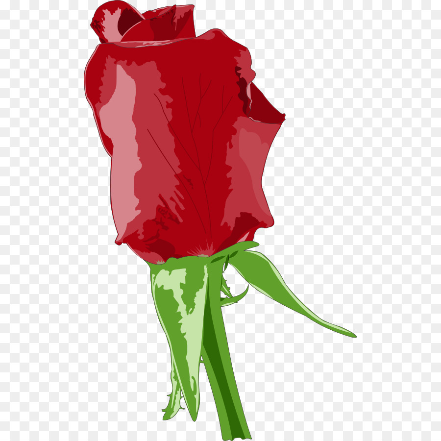 Rose，Cdr PNG