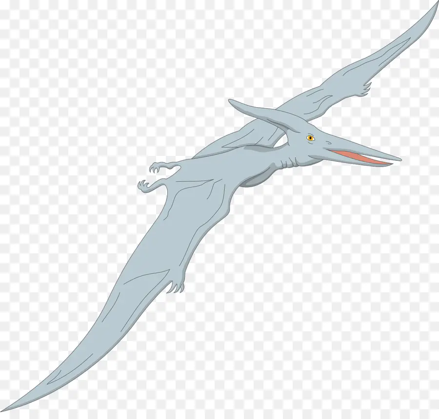 Ptérodactyles，Pteranodon PNG