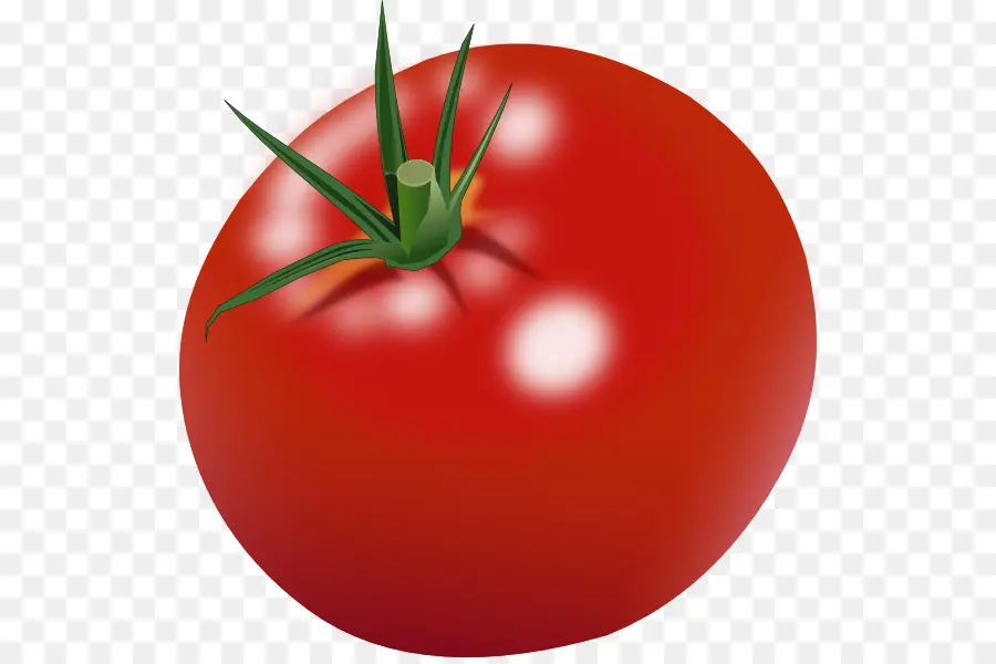 Tomate Cerise，Tomate PNG