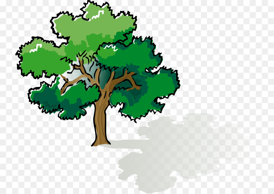 Arbre，Feuilles PNG