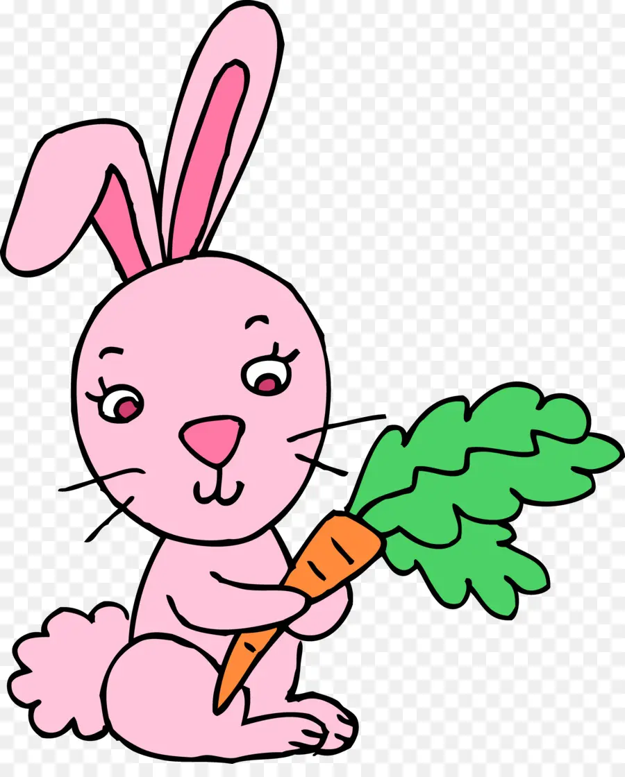 Lapin à La Carotte，Lapin PNG