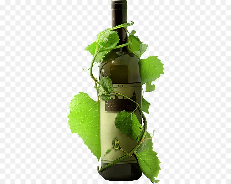 Bouteille De Vin，Vigne PNG