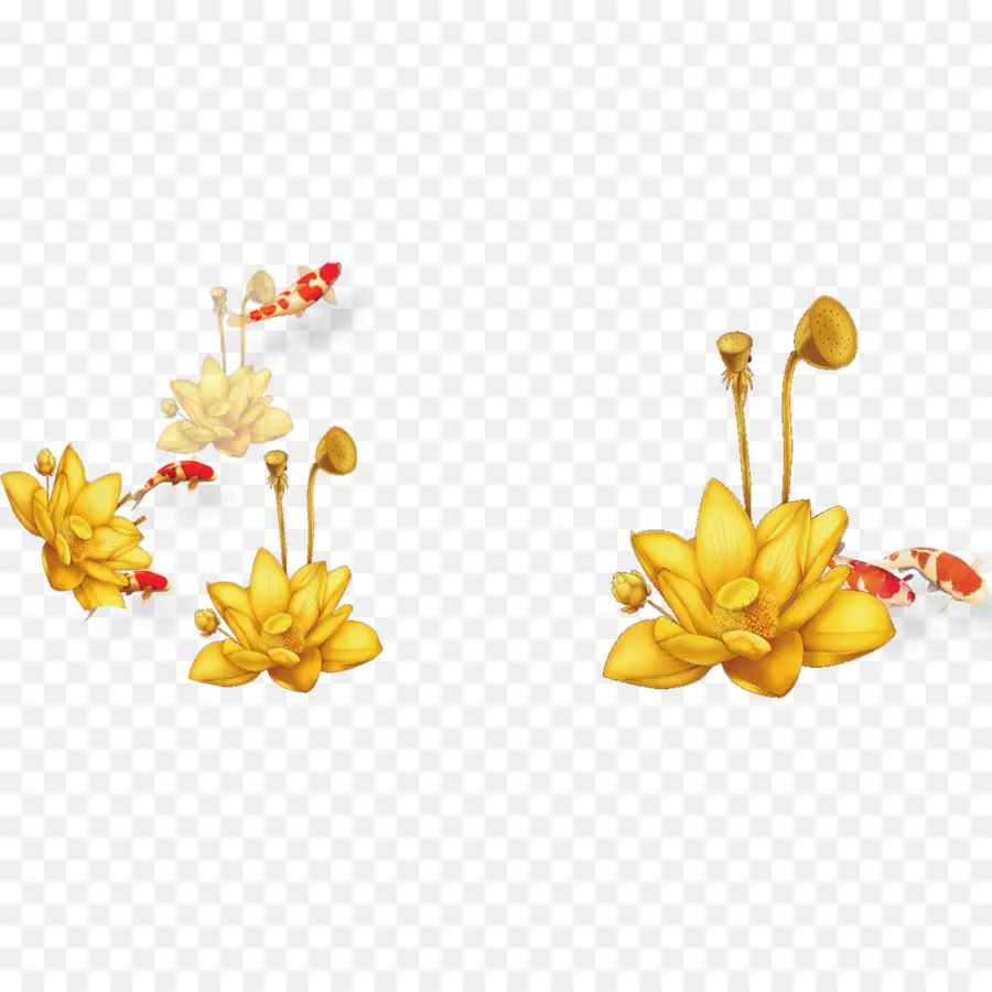 Fleurs Dorées，Poisson Koi PNG