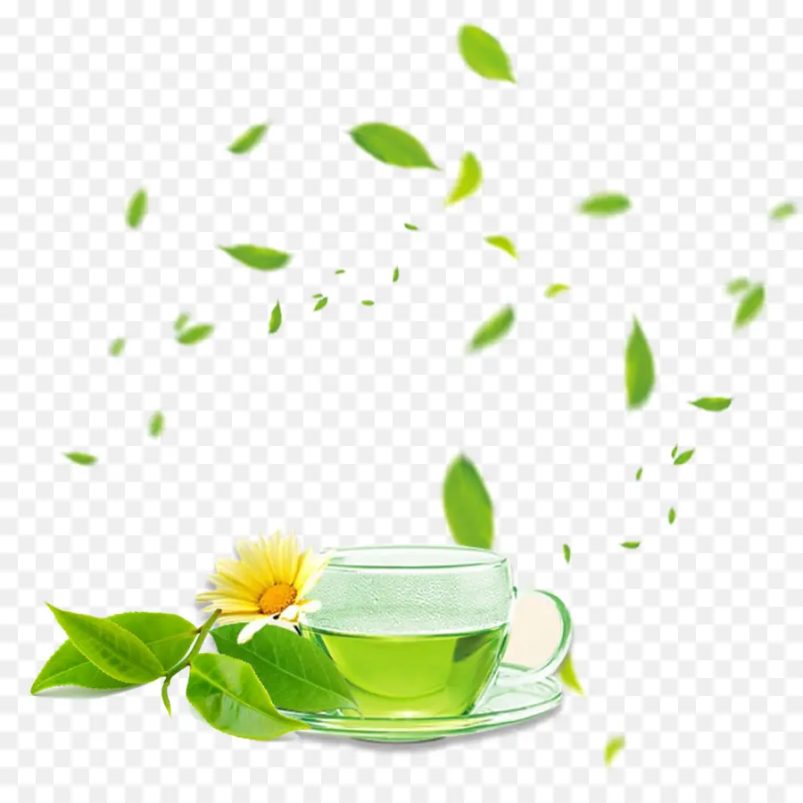 Thé Vert，Tasse à Café PNG