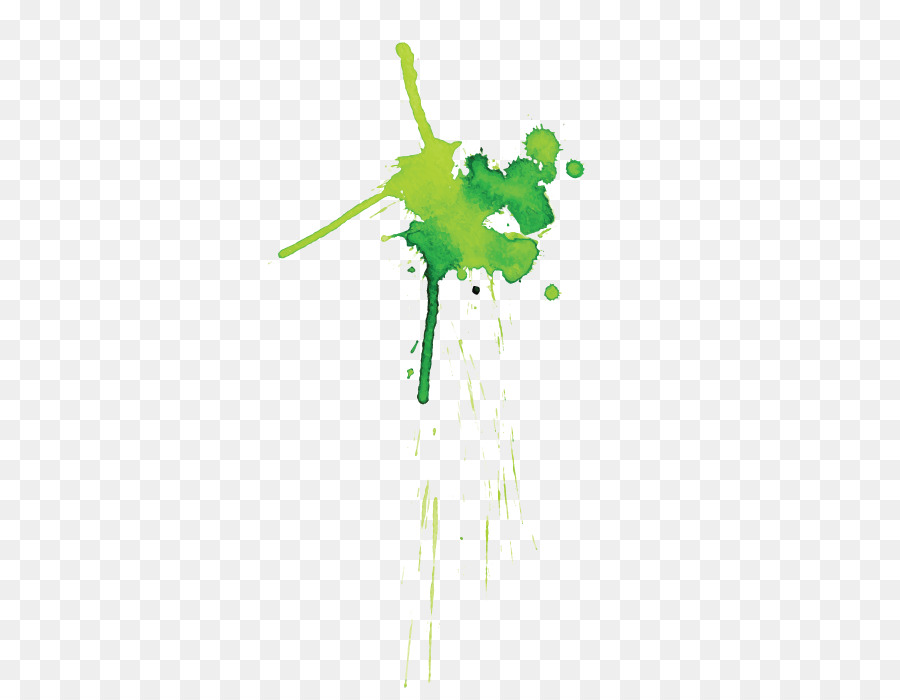 Tige De La Plante，Feuille PNG