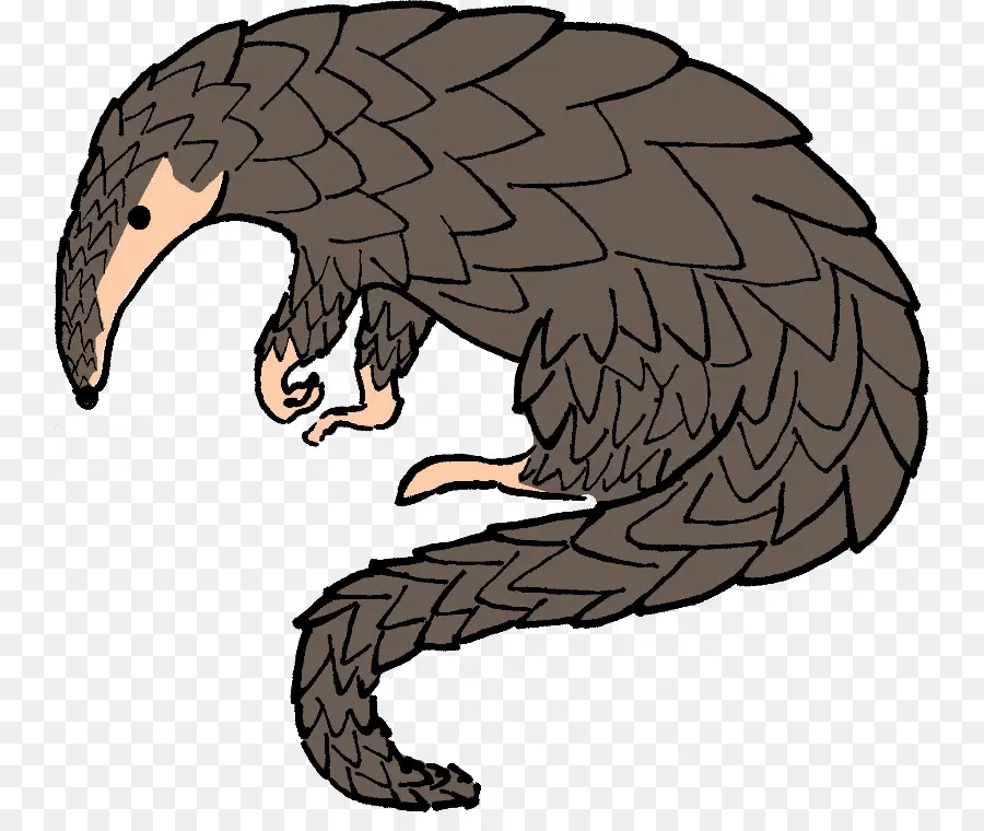 Pangolin，Balance PNG