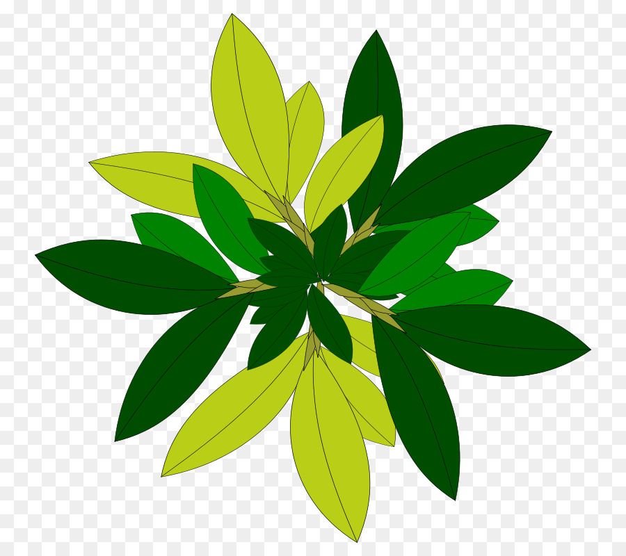 Feuille Verte，Nature PNG