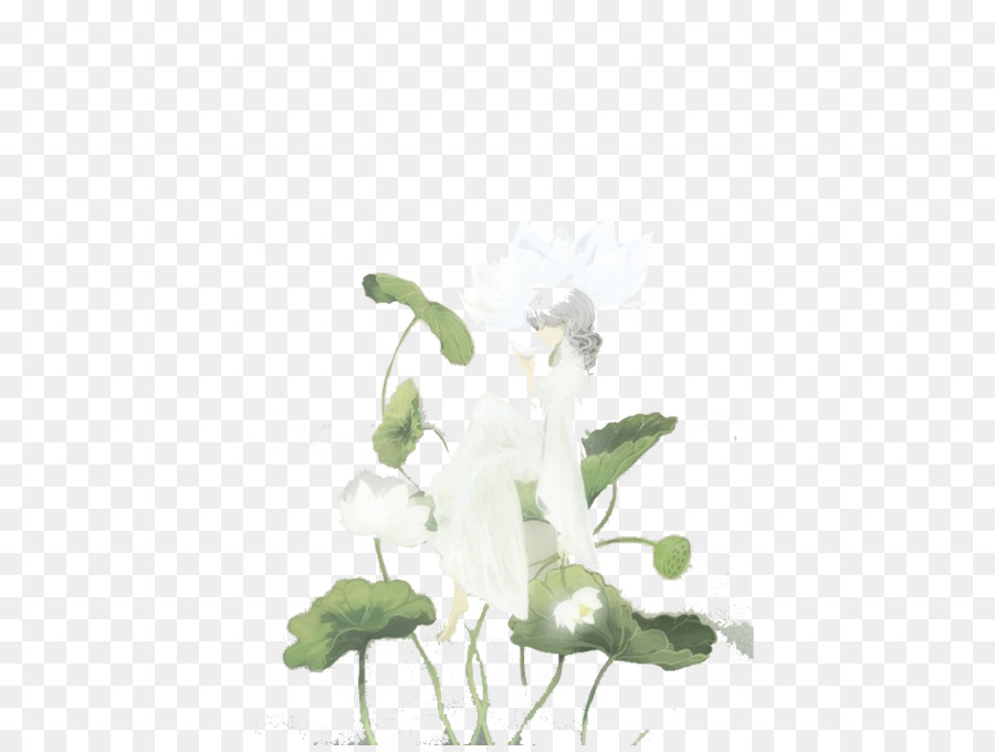 Lotus Blanc，Lotus PNG