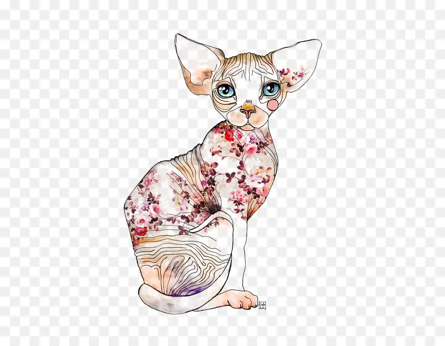 Chat Sphynx，Chat Siamois PNG