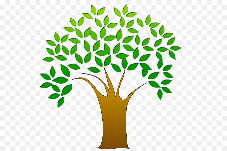 Arbre，Feuilles PNG