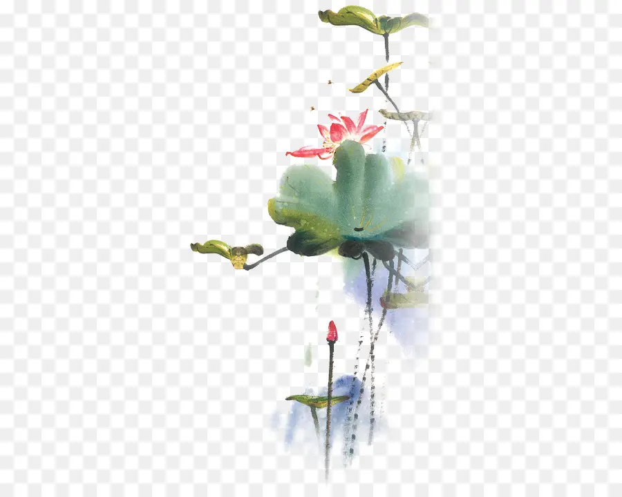 Fleurs Aquarelles，Aquarelle PNG