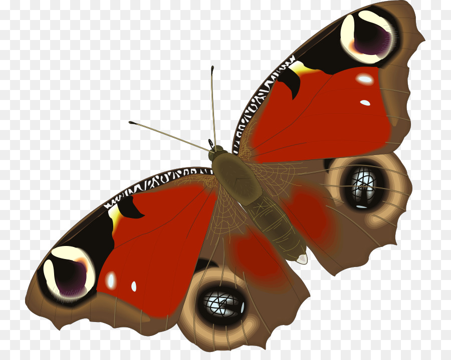 Papillon，Insecte PNG