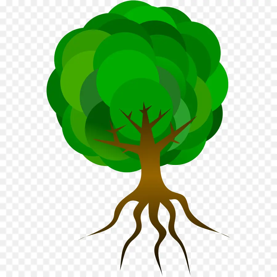 Arbre，Vert PNG