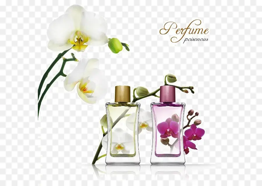 Flacons De Parfum，Parfum PNG