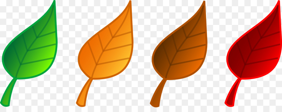 La Couleur Des Feuilles D Automne，Feuille PNG