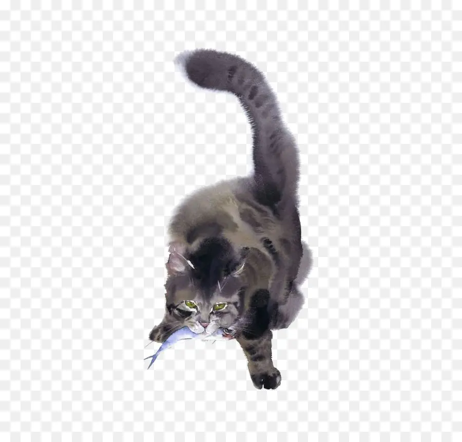 Chat Avec Du Poisson，Chat Gris PNG