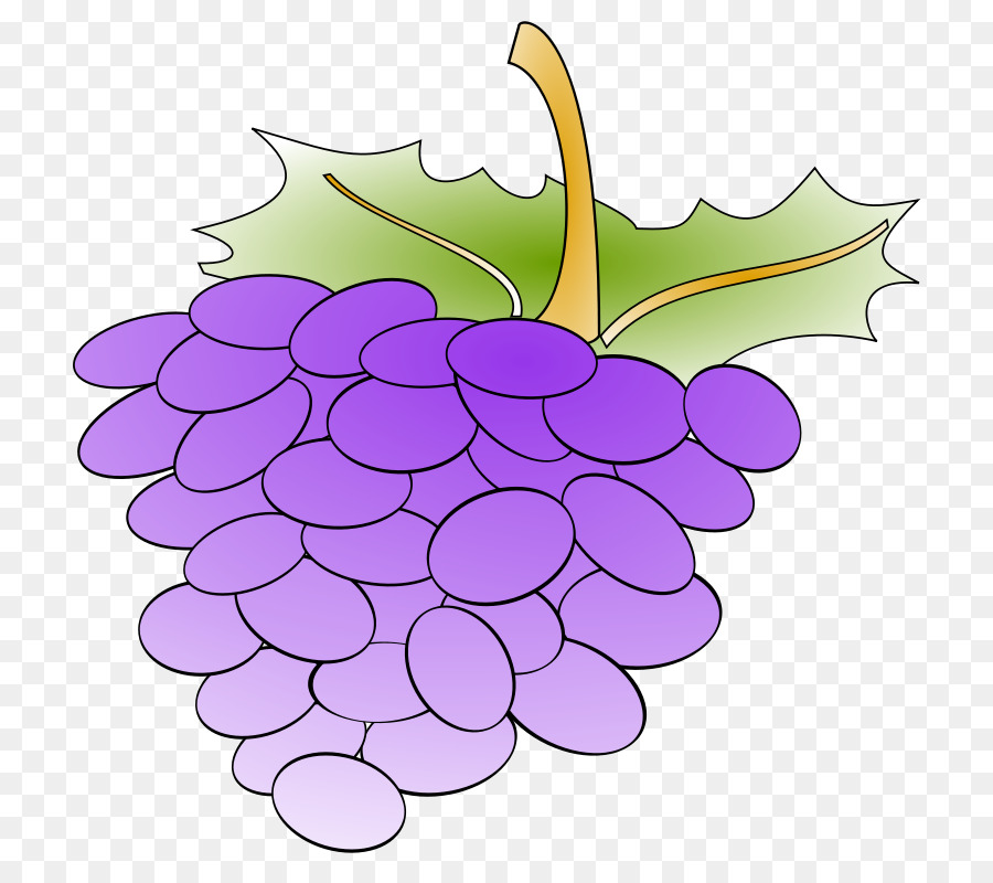 Raisins，Violet PNG