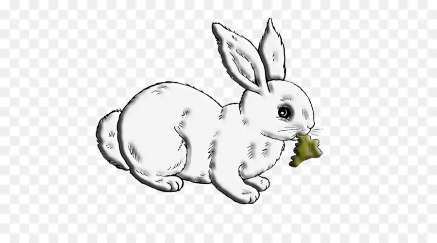 Lapin De Dessin Animé，Feuille PNG