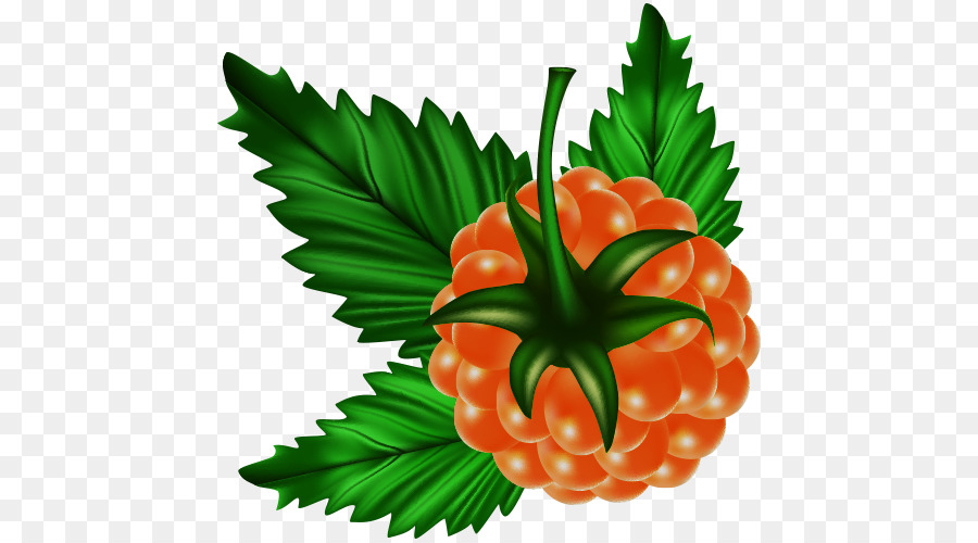 Fruit，Framboise PNG