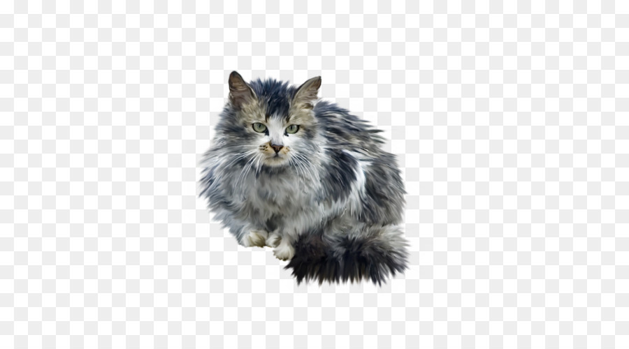 Chat Moelleux，Gris PNG