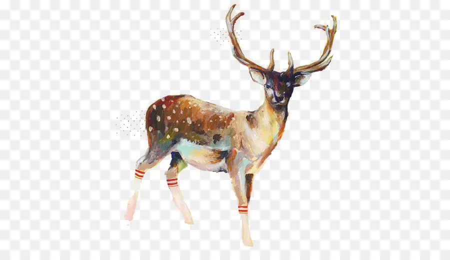 Cerf，Bois PNG