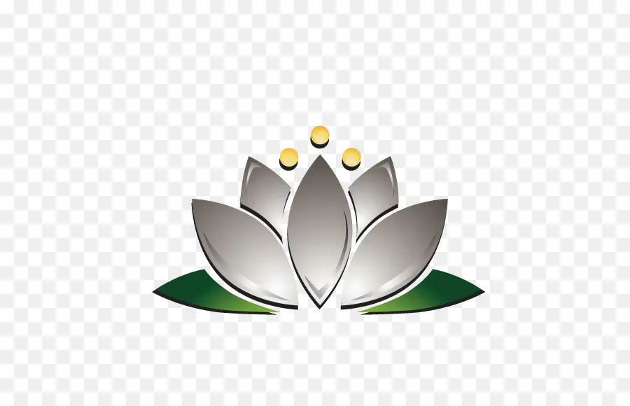 Lotus Argenté，Feuilles PNG