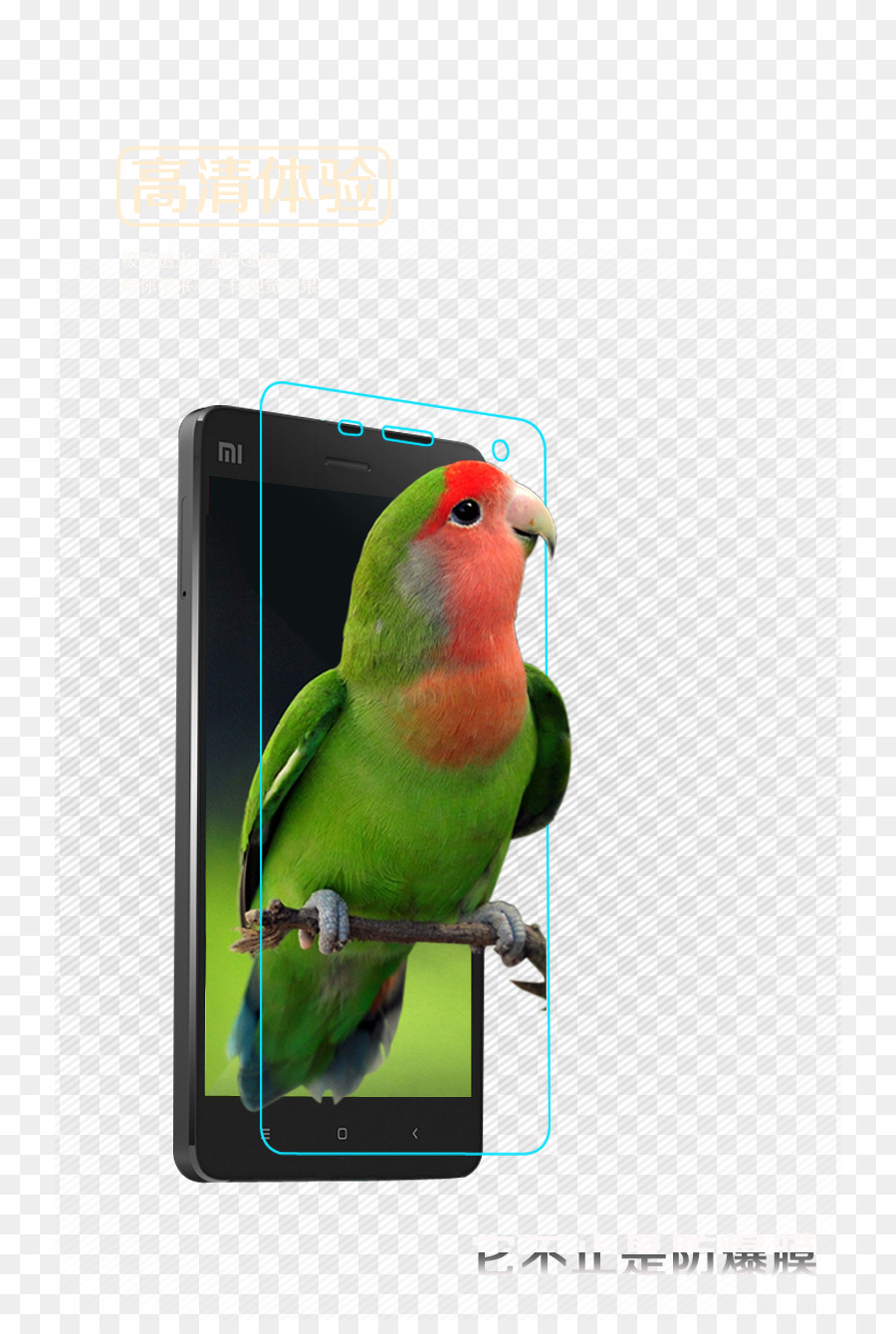 Perroquet Sur L'écran Du Téléphone，Oiseau PNG