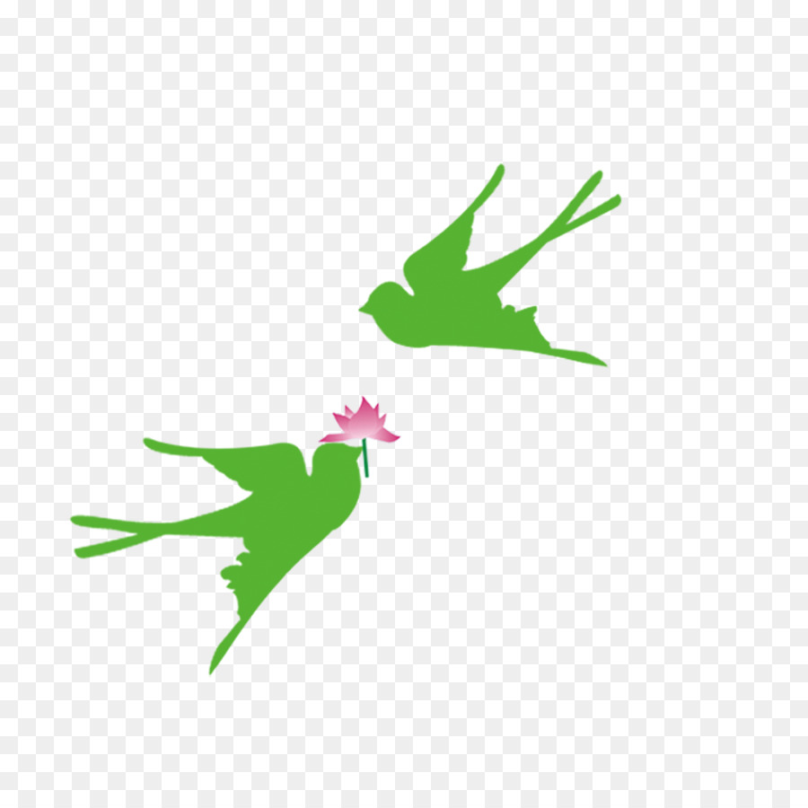 Oiseaux Verts，Oiseaux PNG