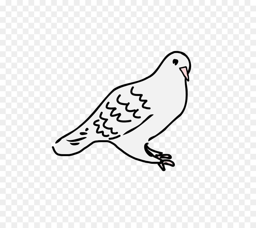 Dessin De Colombe，Pigeon PNG