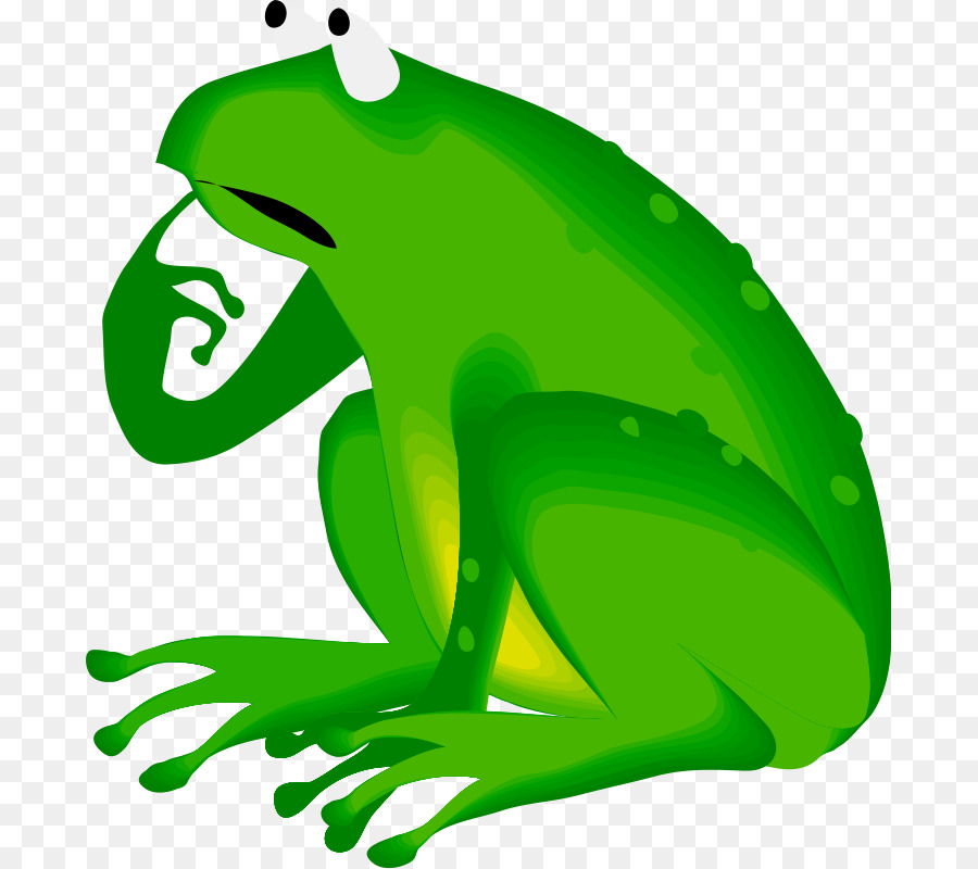 Grenouille Verte De Dessin Animé，Animal PNG