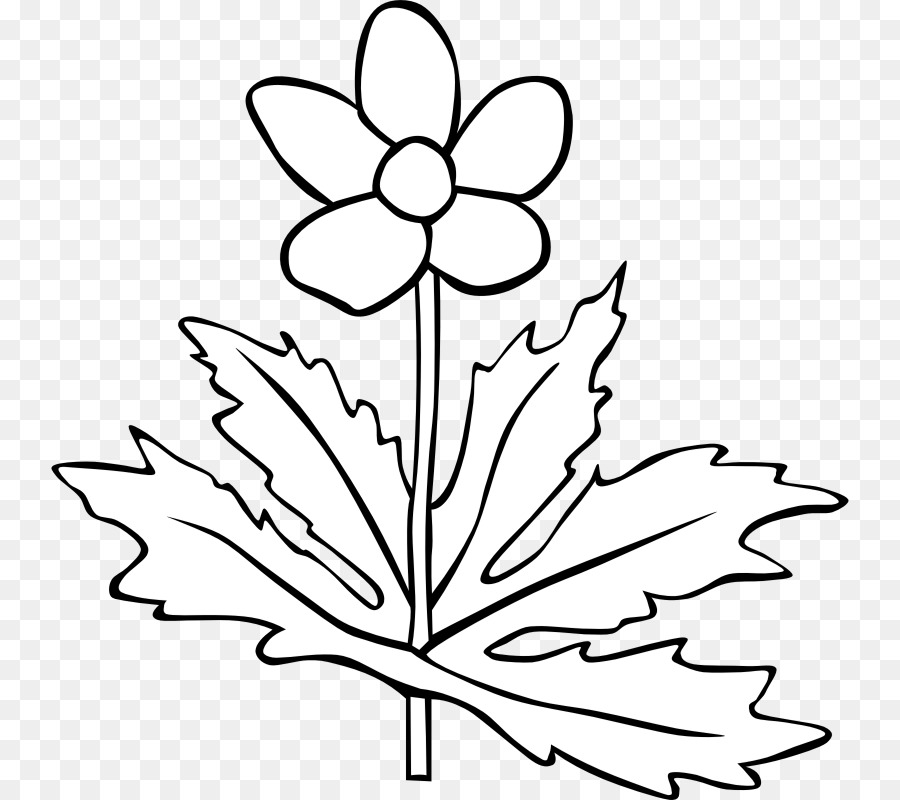 Plante，Blanc PNG