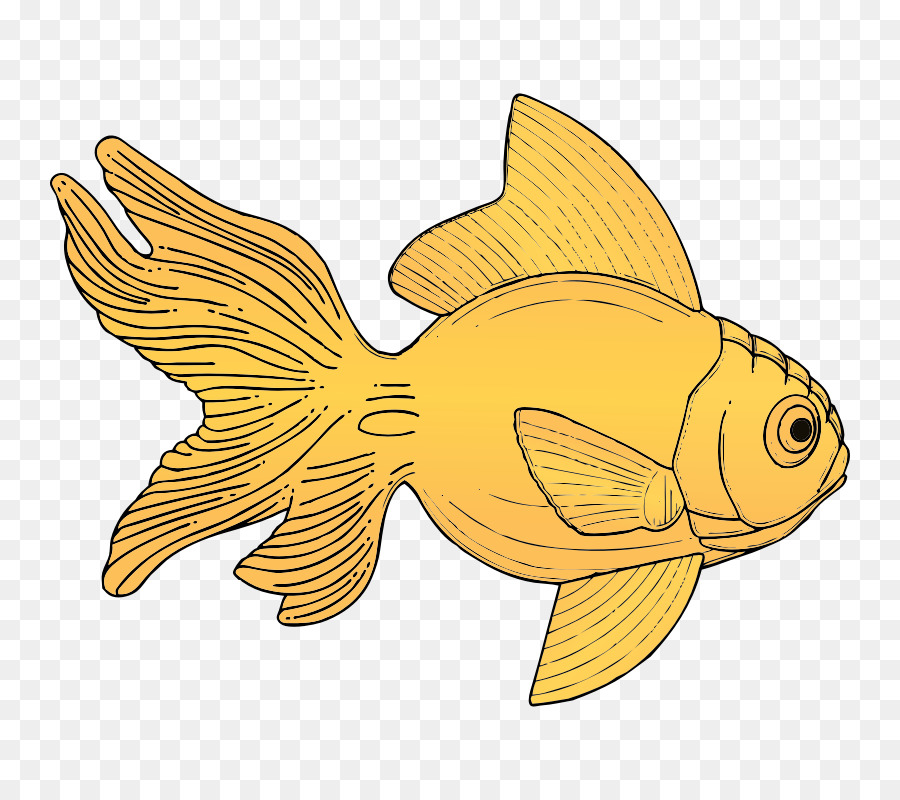 Poisson Jaune，Aquatique PNG