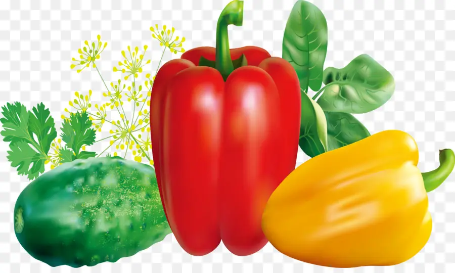 Légumes，En Bonne Santé PNG