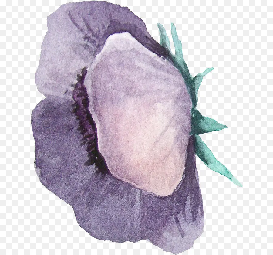 Fleur Violette，Fleurir PNG