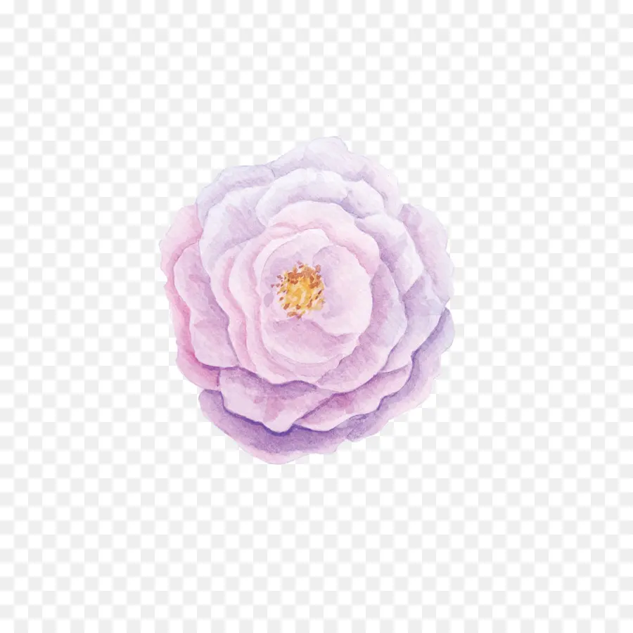 Fleur，Fleurir PNG