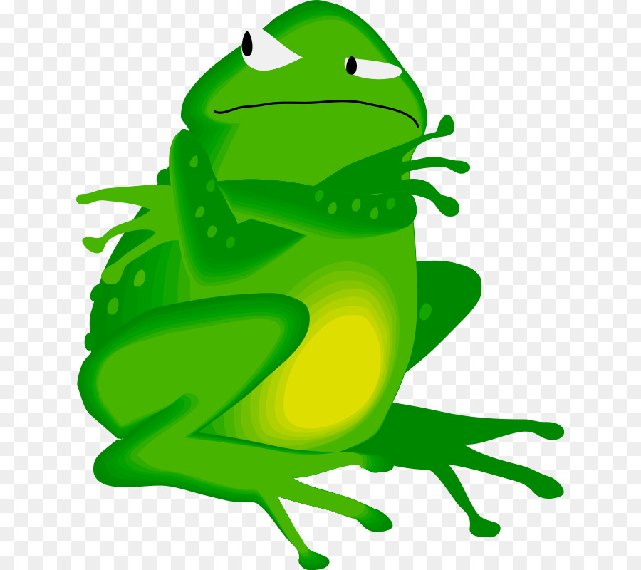 Grenouille Verte，Amphibie PNG