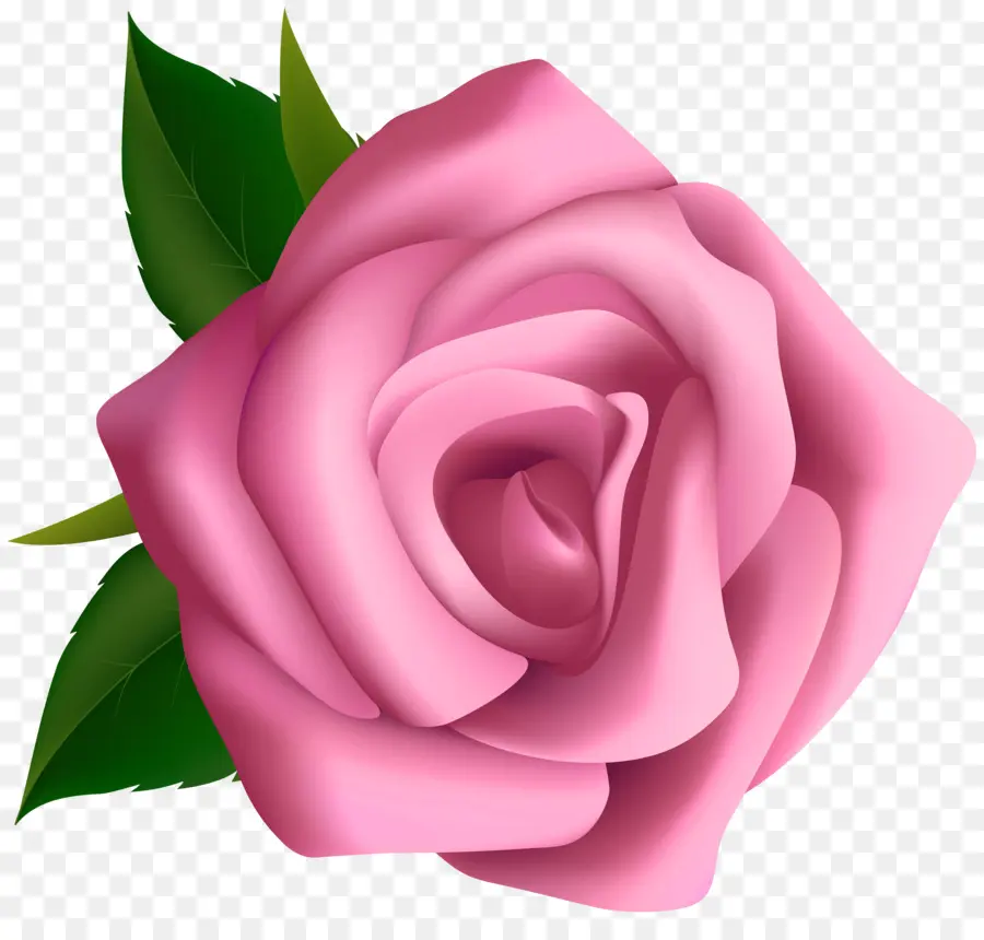 Rose Rose，Fleur PNG