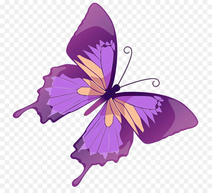 Papillon Violet，Insecte PNG