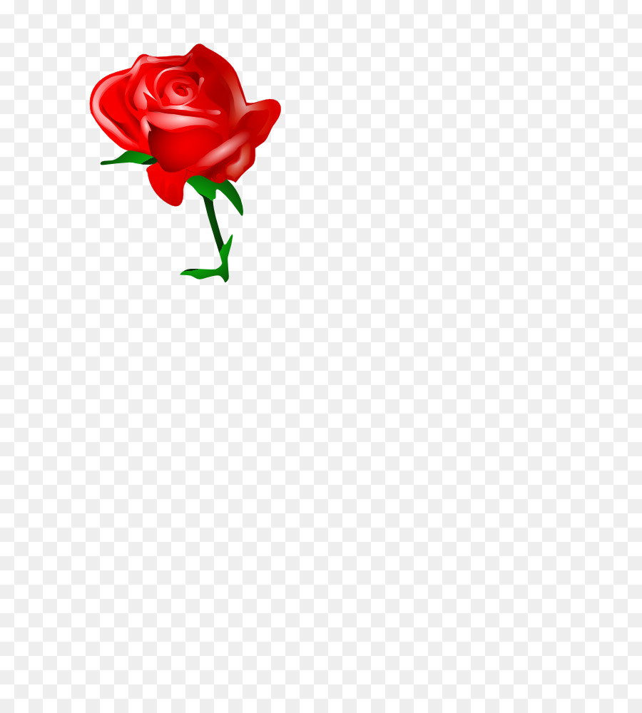 Coeur De Rose Rouge，Amour PNG