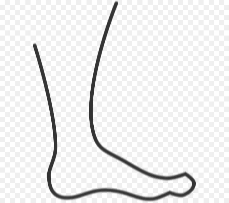 Contour Du Pied，Doubler PNG